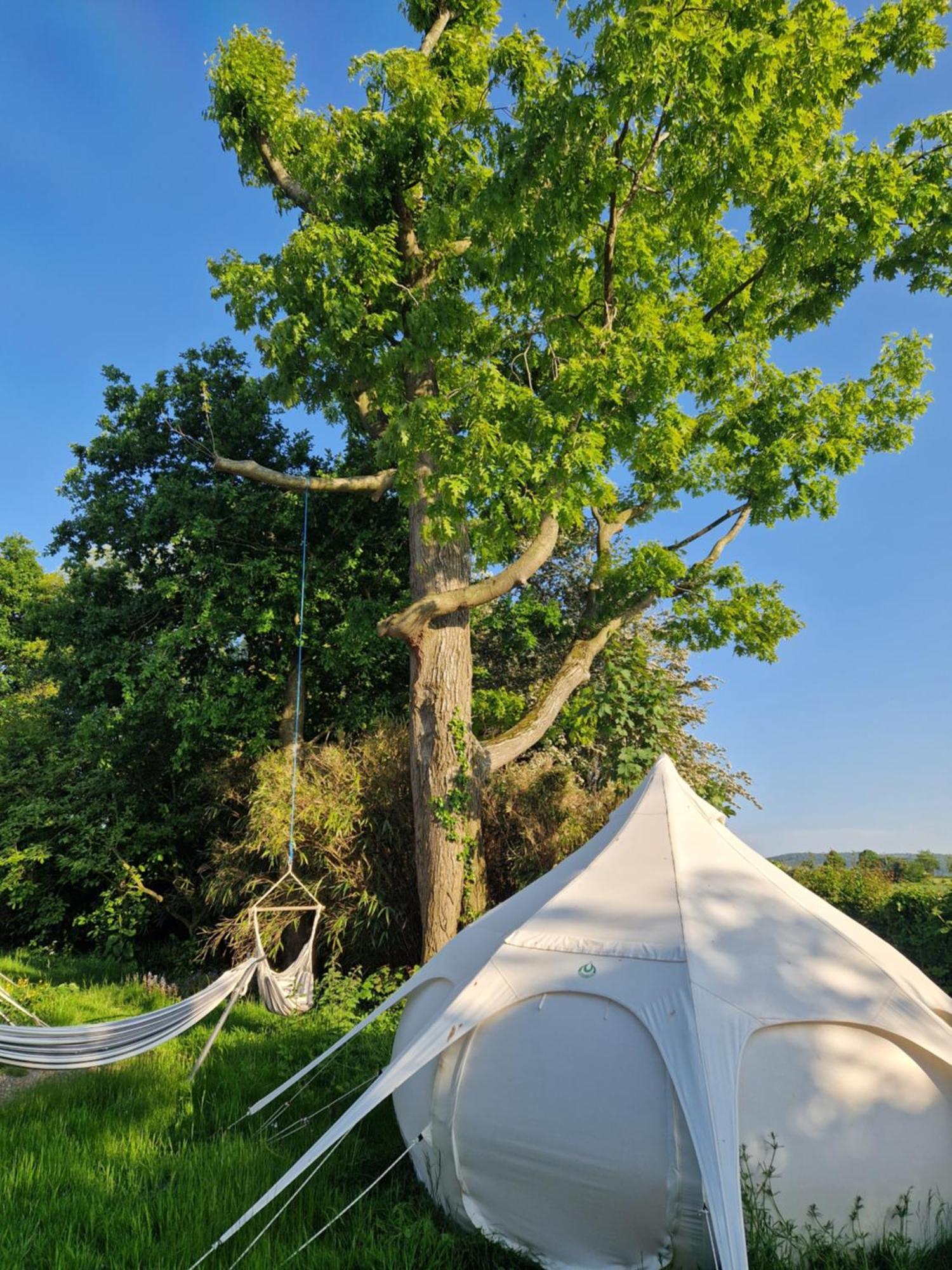 Stargazer Glamping Uk Andromeda 6 People Hotel Ross-on-Wye Exterior photo